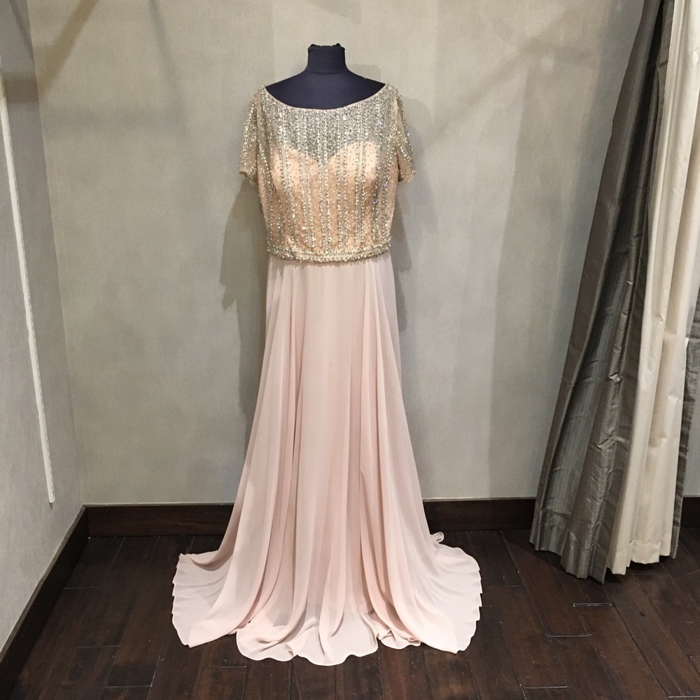Terani Size 20 Gown